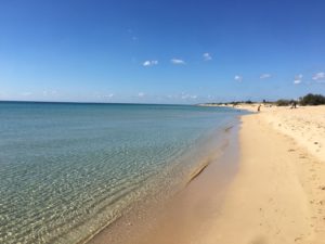 Lido Venere - Spiaggia